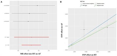 Hypertension and Atrial Fibrillation: A Study on Epidemiology and Mendelian Randomization Causality